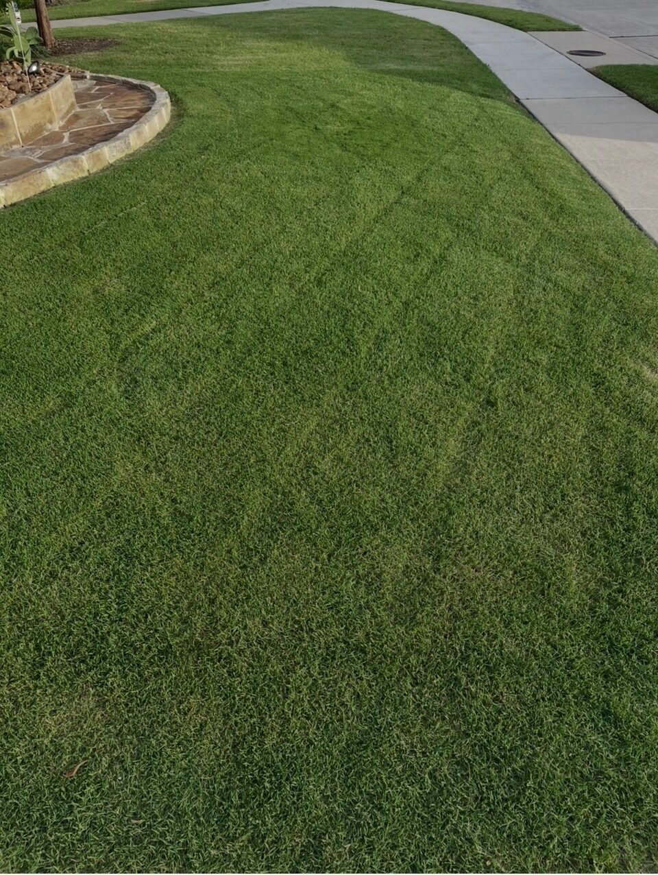 Freshly mowed, well-kept front lawn and beds