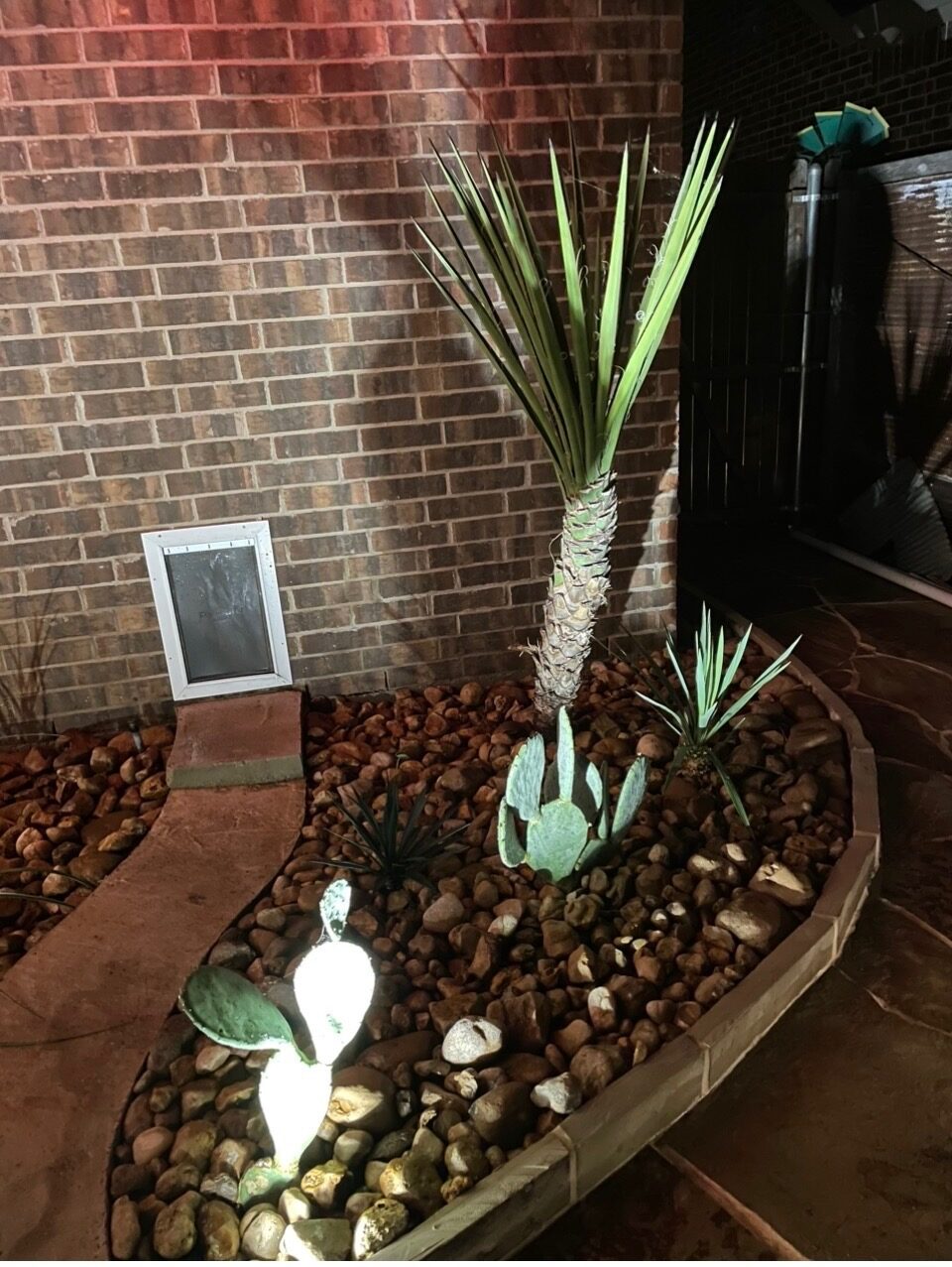 Landscape lighting on desert plantings and stone beds at night